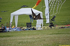 Venice kite festival_0531